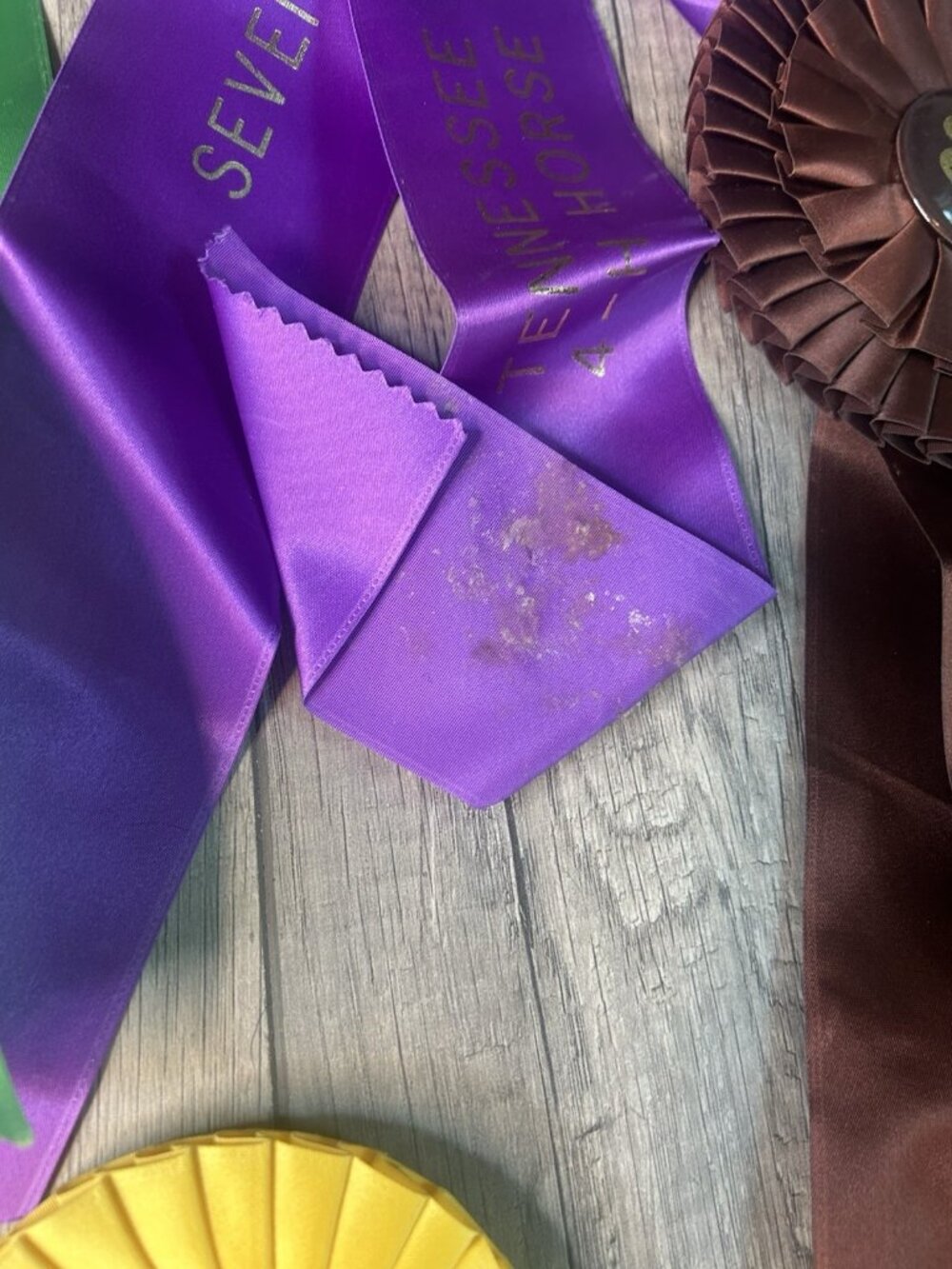 Show Ribbons 4-H Club Rosettes Craft Equestrian Tennessee Shelbyville Lot Of 19 - Picture 15 of 16